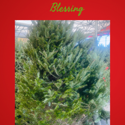 2022 Annual Christmas Tree Blessing